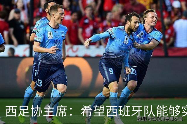 西足协主席：希望西班牙队能够实现夺冠的目标，但必须一步一步来